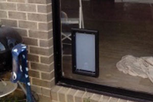 Black dog door installed to match the black sliding door frame.