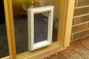 Larger dog door installed into glass to suit larger dog.